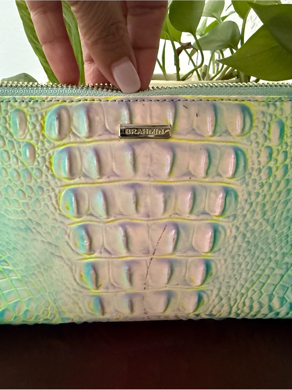 Brahmin Iridescent Mint Croc-Embossed Cosmetic Case